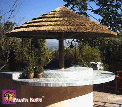 South African Reed Thatch Palapas