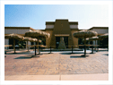 Commercial Palapa Kings™ Palapas
